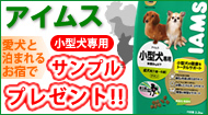���^����p�A�C���X�T���v���v���[���g�I���h�ɔ��܂��Ă�������Ⴈ���I