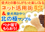 �y�b�g�Ɣ��܂�邨�h�ɔ��܂��ď����q�Ƃ������������Ⴈ���I