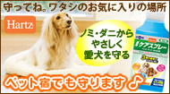 �n�[�c�̏��i�A�y�b�g�h�Ŏg�p���I�L�����y�[��