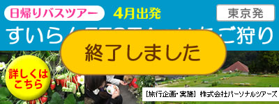 �������FESTA�����������