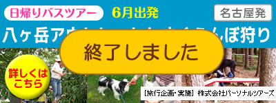 �����x�A�E�g���b�g�Ƃ������ڎ��
