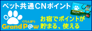 CN�|�C���g�ET�|�C���g�����܂�E�g����