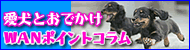 �����Ƃ��ł����v�`�m�|�C���g�R����