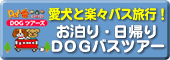 �����ƍs���h�b�O�c�A�[