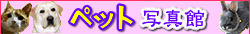 ���E�L�݂�ȏW��I�y�b�g�ʐ^��