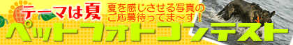 �y�b�g�h�h�b�g�R������uPaw�R�~���j�e�B�v�y�b�g�t�H�g�R���e�X�g�J�Ò��I