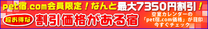 pet�h.com�������I���ʉ��i�Ŕ��܂��h�I