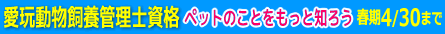 ��₭�ȂтŃ��N���N�\�񂵂܂���I