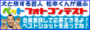 �y�b�g�t�H�g�R���e�X�g