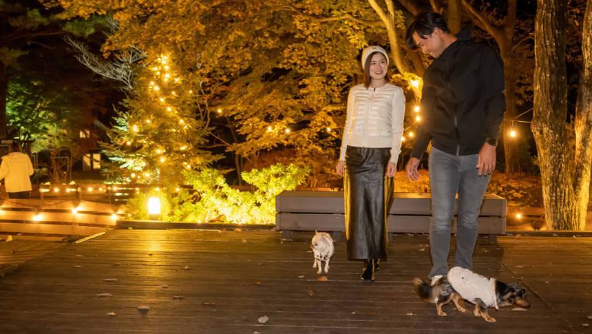 敷地内の散歩風景 栃木県・那須高原の愛犬と泊まれる宿「ホテルフォレストヒルズ那須」の敷地内|ライトアップされた夜のウッドデッキを愛犬と散歩するカップル