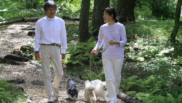 ゆとりろ蓼科ホテルwith DOGS周辺の森を愛犬と散歩する宿泊客