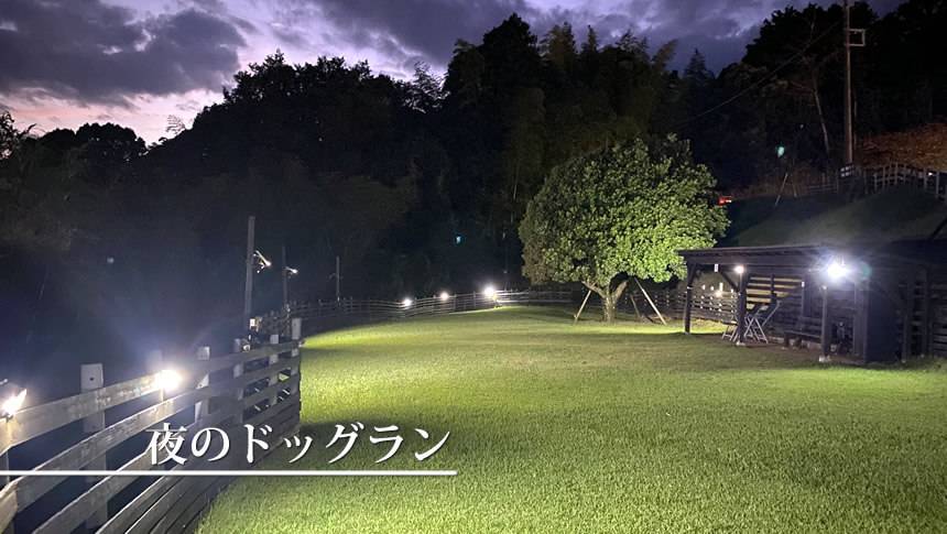 ライトアップされたドッグラン 静岡県・河津の愛犬と泊まれる宿「和みの犬宿 むつみ庵」の夜間ドッグラン。ライトアップされた芝生で夜もお散歩可能