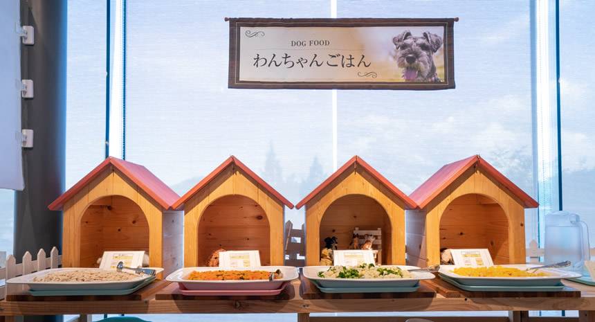 エンゼルフォレスト白河高原で愛犬のために用意されたワンちゃんごはん