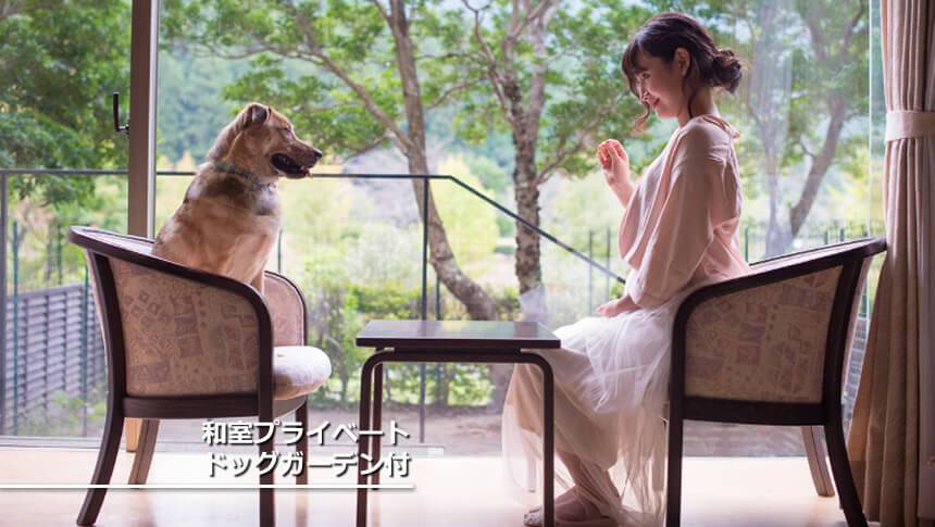 ドッグガーデン付和室 わんわんパラダイス 松阪の「プライベートドッグガーデン付和室」。広々としたお部屋で愛犬とおやつタイム