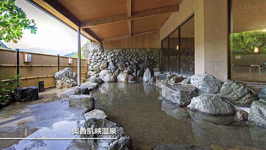 岩造りの露天風呂 わんわんパラダイス 松阪の岩造り露天風呂「奥香肌峡温泉」。自然の風を感じる癒やしの空間。