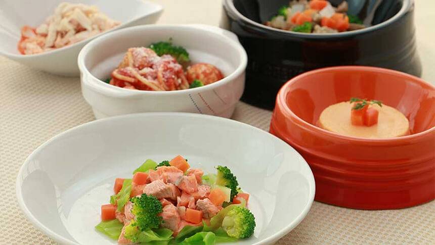 那須のドッグスパリゾート アルトピアーノで提供される栄養バランスの取れた犬用ディナー