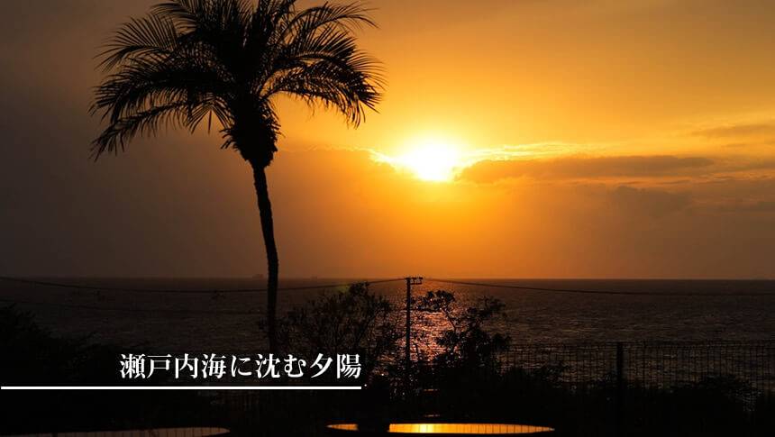ヤシの木越しに瀬戸内海へ沈むGREENHOUSE 淡路ガーデンからの夕日