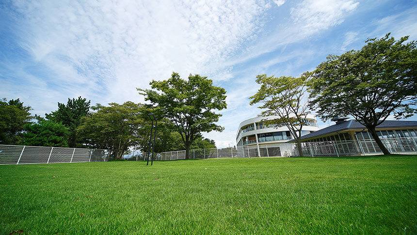 天然芝のドッグラン 滋賀県・琵琶湖の愛犬と泊まれる宿「ホテルビワドッグ」の広々とした天然芝ドッグラン施設