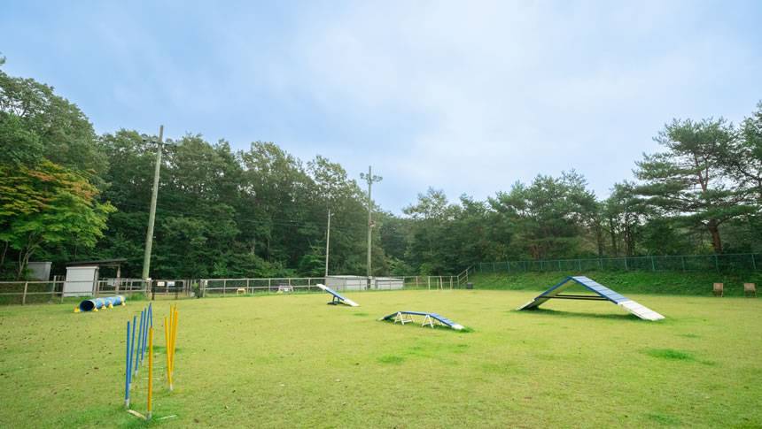 ドッグラン 栃木県・那須高原の愛犬と泊まれる宿「ホテルフォレストヒルズ那須」のドッグラン|アジリティ設備が充実した広い天然芝のドッグラン