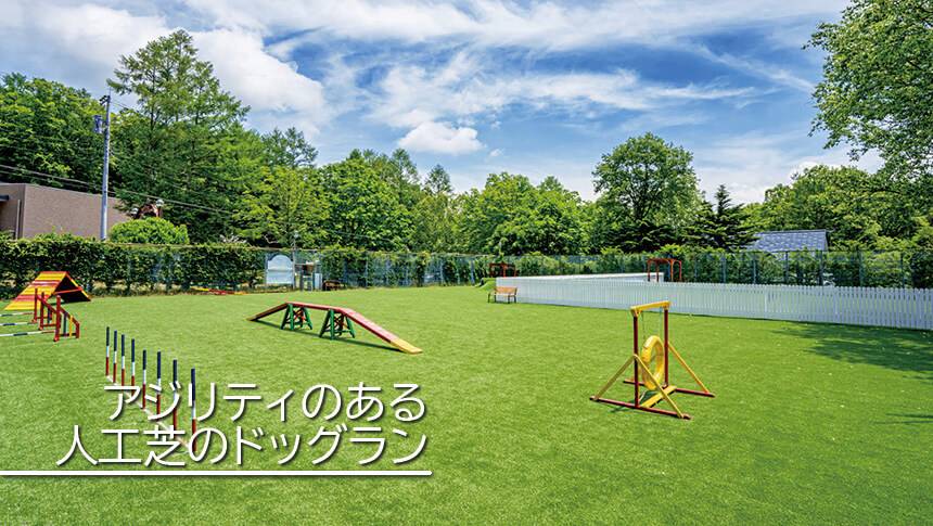 アジリティ遊具を備えた、わんわんパラダイス 八ヶ岳の人工芝ドッグラン