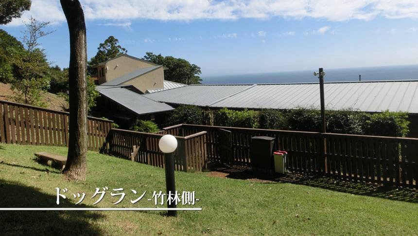 ドッグラン 静岡県・河津の愛犬と泊まれる宿「和みの犬宿 むつみ庵」の竹林側天然芝ドッグラン。オーシャンビューが広がる高台の敷地