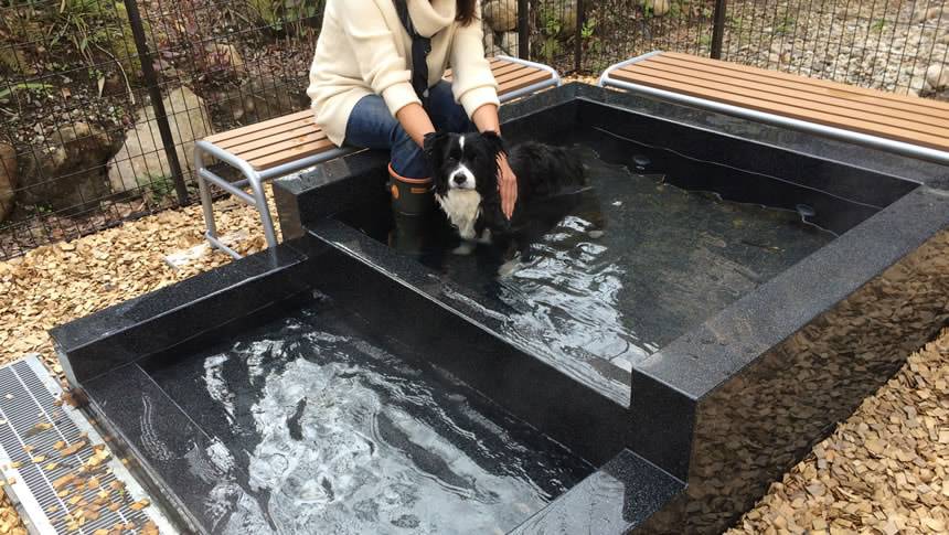 レジーナリゾート箱根雲外荘のドッグスパを楽しむ愛犬