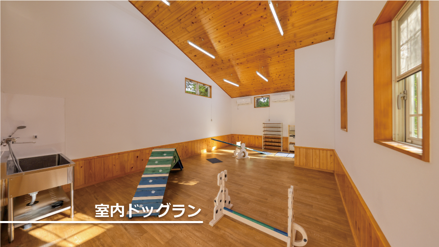 日光のペット連れ専用の宿アニマーレにあるアジリティ設備付きの室内ドッグラン