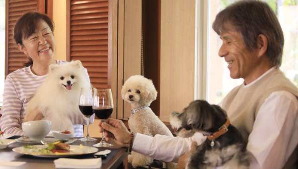 ゆとりろ蓼科ホテルwith DOGSで愛犬と一緒に食事を楽しむ宿泊客