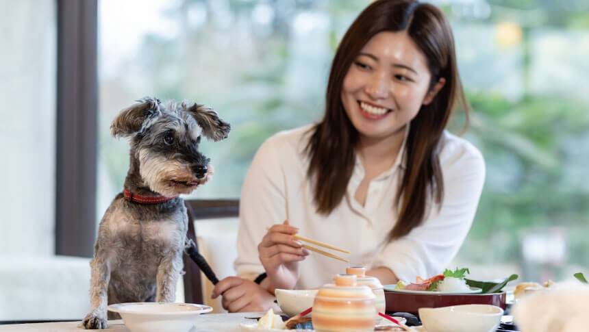わんわんパラダイス伊豆高原|愛犬と食事も 静岡県・伊豆高原の犬と泊まれる宿「わんわんパラダイス伊豆高原」|レストランで愛犬と一緒に食事を楽しむ女性。愛犬も椅子に座り、一緒にテーブルを囲んでいる様子。