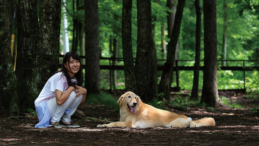 八ヶ岳の緑豊かな森で愛犬と過ごす、わんわんパラダイス 八ヶ岳の滞在風景