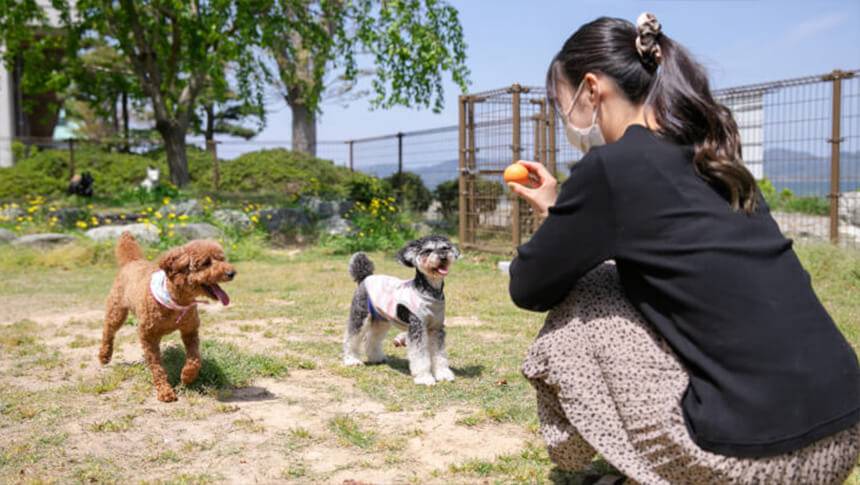 愛犬がのびのび遊べる玉造国際ホテル Rivage Chorakuのドッグラン