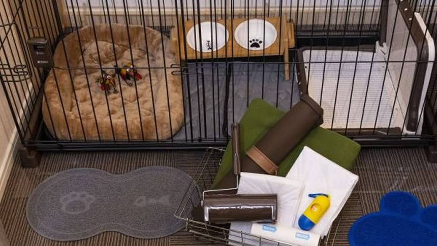 愛犬用アメニティ 沖縄県の愛犬と泊まれる宿「エンズ マリーナ イン マシキ コンドホテルズ」|エンズマリーナインマシキが提供する充実したペット用アメニティ。室内ケージ、犬用ベッド、フードボウル(食器)、トイレシート、粘着ローラーなど。