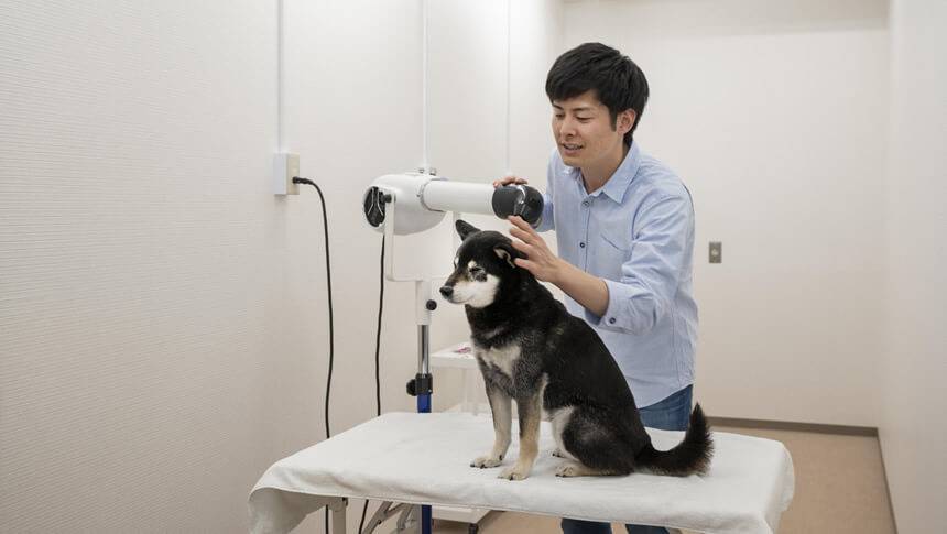 浜名湖わんわんパラダイスホテルのセルフグルーミングルーム|静岡県浜名湖で犬と泊まれる宿のトリミング設備
