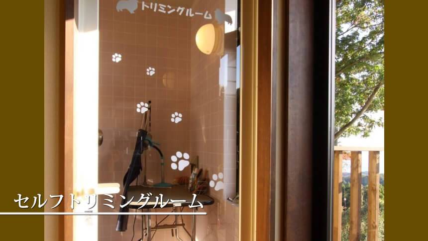 セルフトリミングルーム 静岡県・河津の愛犬と泊まれる宿「和みの犬宿 むつみ庵」のセルフグルーミングルーム。愛犬のお手入れができるトリミングテーブル