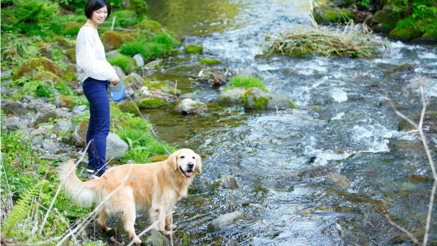 わんわんパラダイス 高山の清流沿いで愛犬と散歩を楽しむ女性