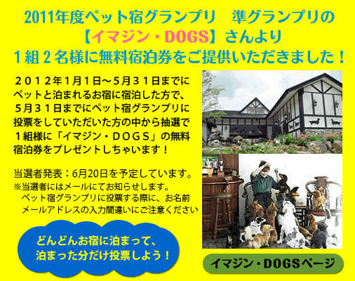 �C�}�W��DOGS�h�����v���[���g�I