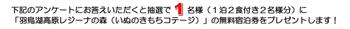 �A���P�[�g�ɓ�����ƒ��I�łP���ɖ����h�������v���[���g���܂��I