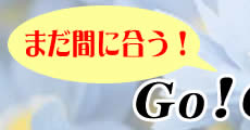 GW���W1