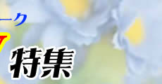 GW���W2
