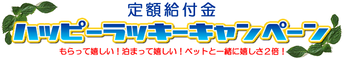 pet�h�h�b�g�R���̒�z���t���w�n�b�s�[���b�L�[�L�����y�[���x