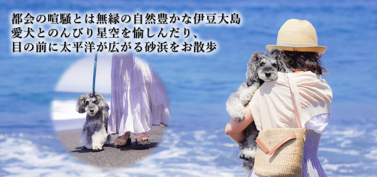 s@ɓ哇@ASOVILUXiA\rNXj