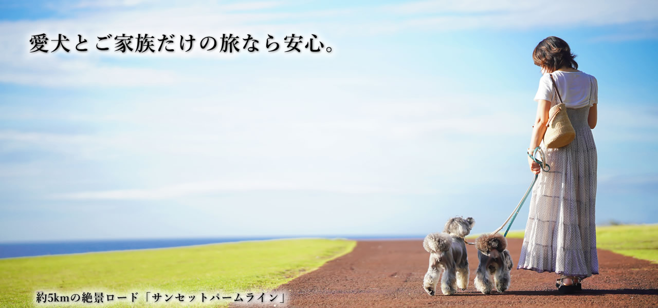 s@ɓ哇@ASOVILUXiA\rNXj