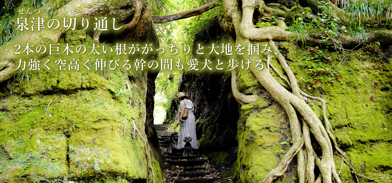 s@ɓ哇@ASOVILUXiA\rNXj