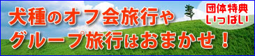 �y�b�g�h�h�b�g�R���X�^�b�t�̃y�b�g�h�u���O�I