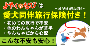 ��₭�Ȃт́A�����������s�ی��t����������S�I