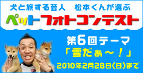 �y�b�g�t�H�g�R���e�X�g�J�Ò��I
