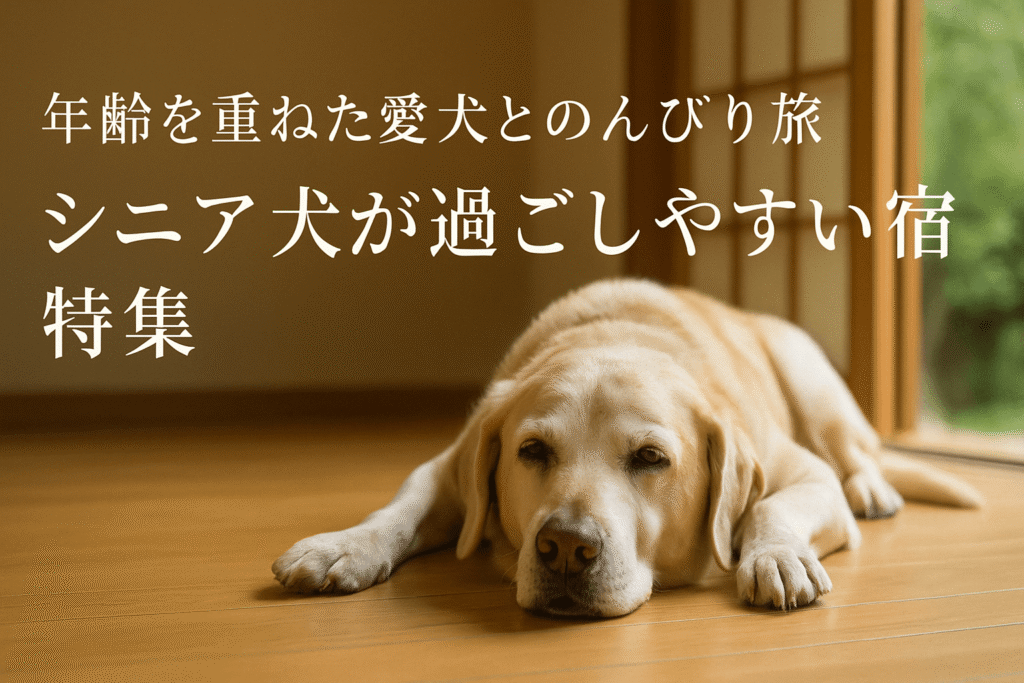 夏の特集｜シニア犬が過ごしやすい宿！特集