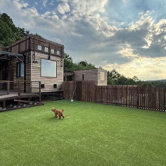 長野県・諏訪の愛犬と泊まれる宿「INU邸 SKY TERRACE SUWA」