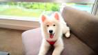 1648-silder09-LaPista-HotelandResort-chiba-image-photo