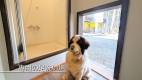1646-slider01-tochigi-Mimoza-Retreat-nasu-Dog-paw-washing-station